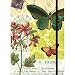 Flora and Fauna Butterfly Cavallini Notebook with Elastic Closure