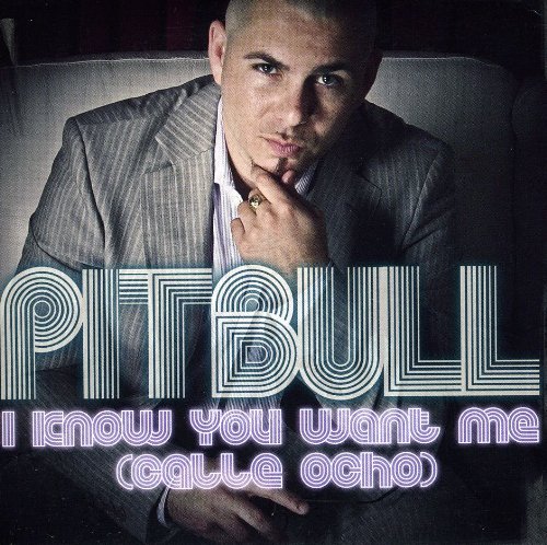 Pitbull - I Know You Want Me (Calle Ocho) [2 Tracks] - Zortam Music