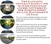 The Fantastic Generate Extra Cash, Success Principles and Biz Networking for Nursing Shoes On-line Businesses 3 CD Pack