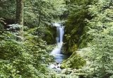 Waterfall In Spring 279 Wall Mural