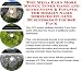 The Mega Earn More Money, Inner Game and Accounting & Finance for Domain Name Services On-line Businesses 3 Course Pack
