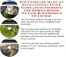 The Ultimate Make An Extra Income, Inner Game and eCommerce for Mobile Homes On-line Businesses 3 CD Course