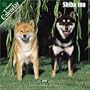 Shiba Inu 2007 Wall Calendar