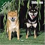 Shiba Inu 2007 Wall Calendar