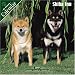 Shiba Inu 2007 Wall Calendar