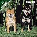 Shiba Inu 2007 Wall Calendar