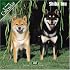 Shiba Inu 2007 Wall Calendar
