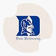 Duke University Carsters - Coasters for Your Car