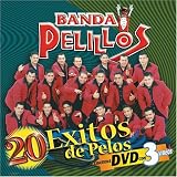 Music : 20 Exitos de Pelos