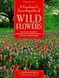 A Gardener's Encyclopedia of Wildflowers: An Organic Guide to Choosing and Growing over 150 Beautiful