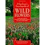 A Gardener's Encyclopedia of Wildflowers: An Organic Guide to Choosing and Growing over 150 Beautiful