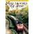 Travel the World By Train: Europe 3