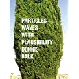 Particles + Waves With Plausibility