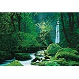 Buy Brewster 4-065 Black Forest, Oregon 4 Panel Mural with Paste, 8-Foot 10-Inch by... by Brewster