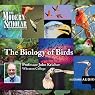 The Modern Scholar: The Biology of Birds
