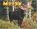Moose 2006 Calendar