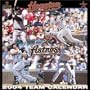 Houston Astros 2004 16-month wall calendar