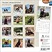 Chocolate Labrador Retrievers 2015 Wall Calendar