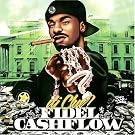 Fidel Cashflow