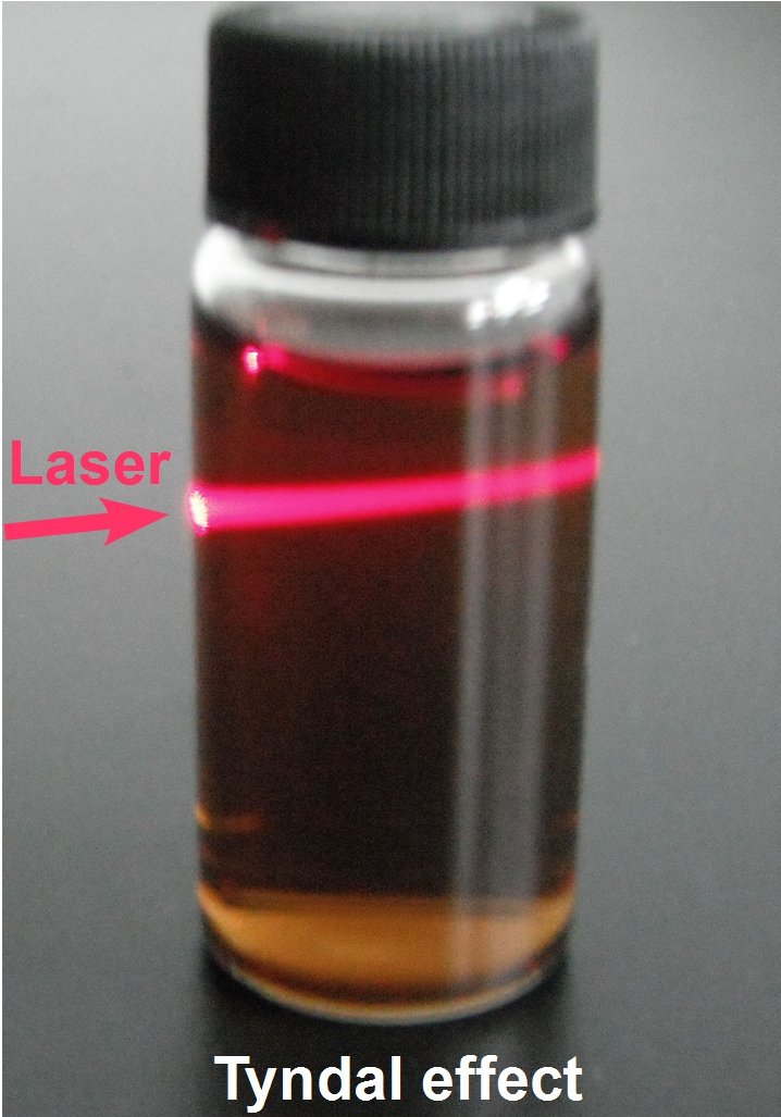 Amazon.com : Single-Layer Graphene Oxide Aqueous Dispersion, 5 mg ...