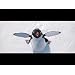 Product Video: Happy Feet-Trailer