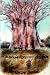 Beneath the Baobab