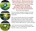image 26 - The Best Promotion Success Principles and Inner Game