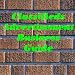 Classifieds Advertisement Business Guide