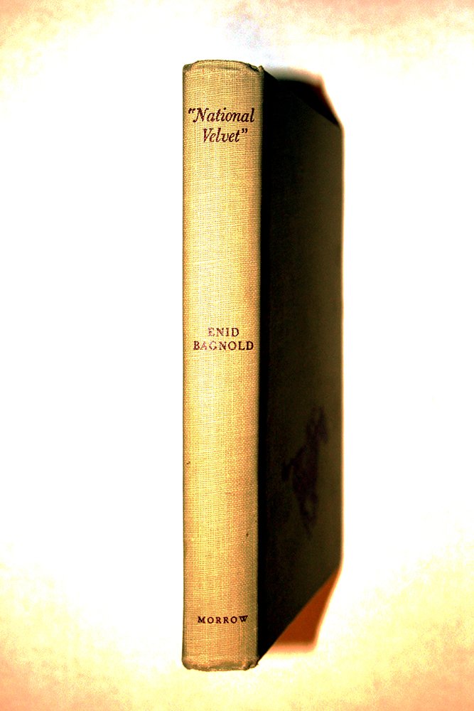 National Velvet: Enid Bagnold, Paul Brown: Amazon.com: Books