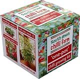 One-Pot Chilli Growing Kit
