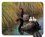 Parenting Mouse Pad, Mousepad (Birds Mouse Pad)