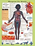 Blueprint for Health Your Heart and Blood Chart Paper ... thumbnail