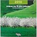 Trees All Year Long 12 Inch Square 2010 Nouvelles Images Calendar