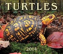 Turtles 2014
