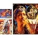 Search : 3 in 1 Sunset Glow Wizard Fantasy Jigsaw Puzzle 500pc