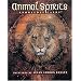 Animal Spirits Knowledge Cards�: Paintings by Susan Seddon Boulet