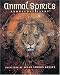  : Animal Spirits Knowledge Cards: Paintings by Susan Seddon Boulet