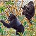Primate World, Vol. 2: Forest Monkeys
