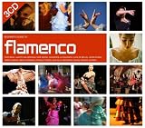 Search : Beginner's Guide to Flamenco