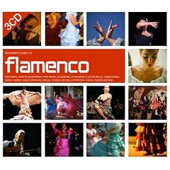Beginner's Guide to Flamenco