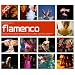 Beginner's Guide to Flamenco