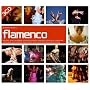 Beginner's Guide to Flamenco