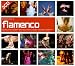 Beginner's Guide to Flamenco