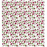 Double Bubble Raspberry & Lime Cocoa Butter Chocolate Transfer Sheet by GSA