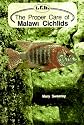 The Proper Care of Malawi Cichlids