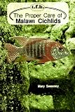 The Proper Care of Malawi Cichlids