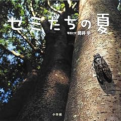 セミたちの夏 (小学館の図鑑NEOの科学絵本)