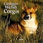 Cardigan Welsh Corgis 2006 Wall Calendar