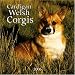 Cardigan Welsh Corgis 2006 Wall Calendar