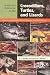 Guide and Reference to the Crocodilians, Turtles, and Lizards of Eastern and Central North America (North of Mexico)